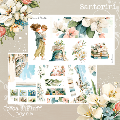 Monthly Mystery Subscription Washi Paper