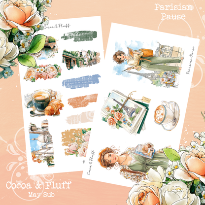 Monthly Mystery Subscription Washi Paper