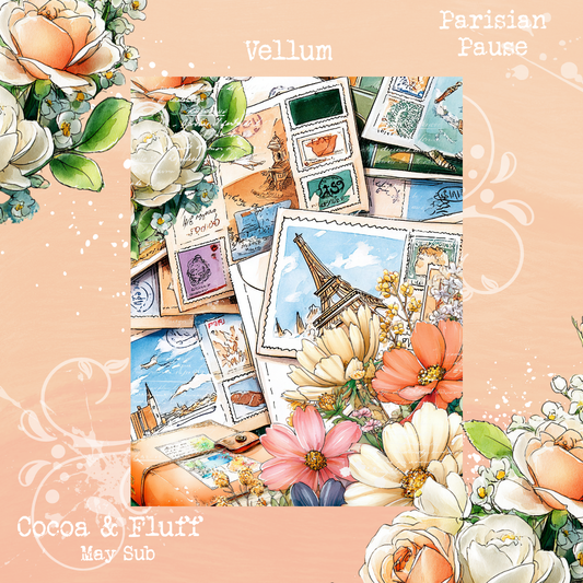 Monthly Mystery Subscription Washi Paper