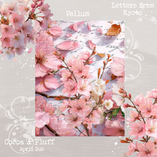 Monthly Mystery Subscription Premium Matte