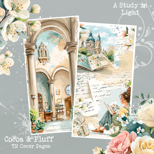 TN Cover Sheets - NEW ITEM - A Study in Light