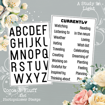 Currently Stamp Set | 4x6 Photopolymer Stamps