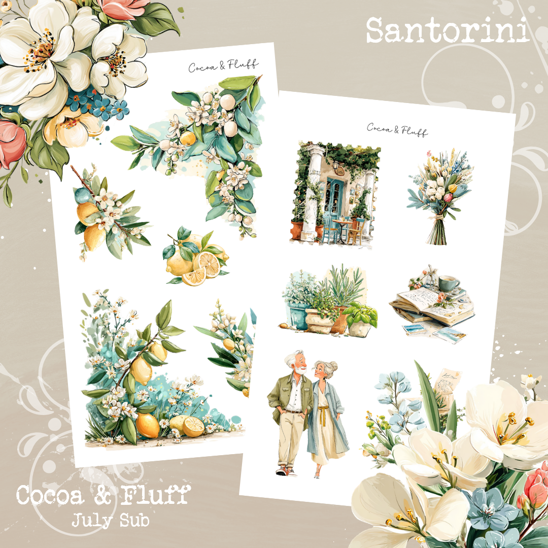 Monthly Mystery Subscription Washi Paper