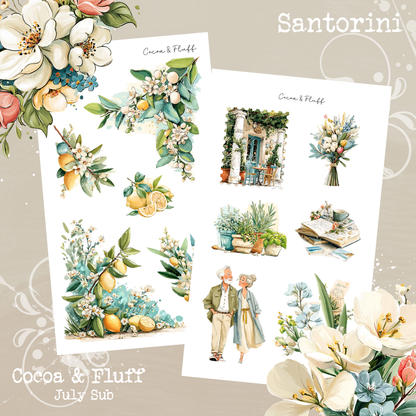 Monthly Mystery Subscription Washi Paper