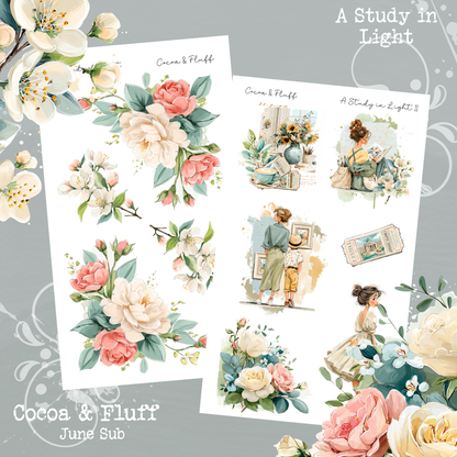 Monthly Mystery Subscription Washi Paper