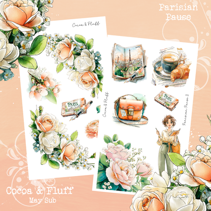 Monthly Mystery Subscription Washi Paper