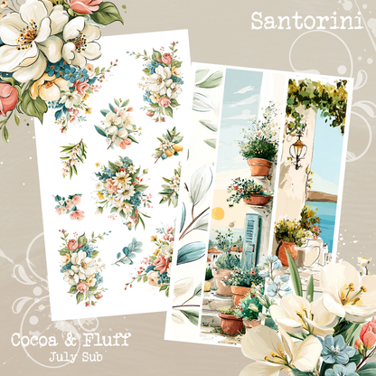Monthly Mystery Subscription Washi Paper