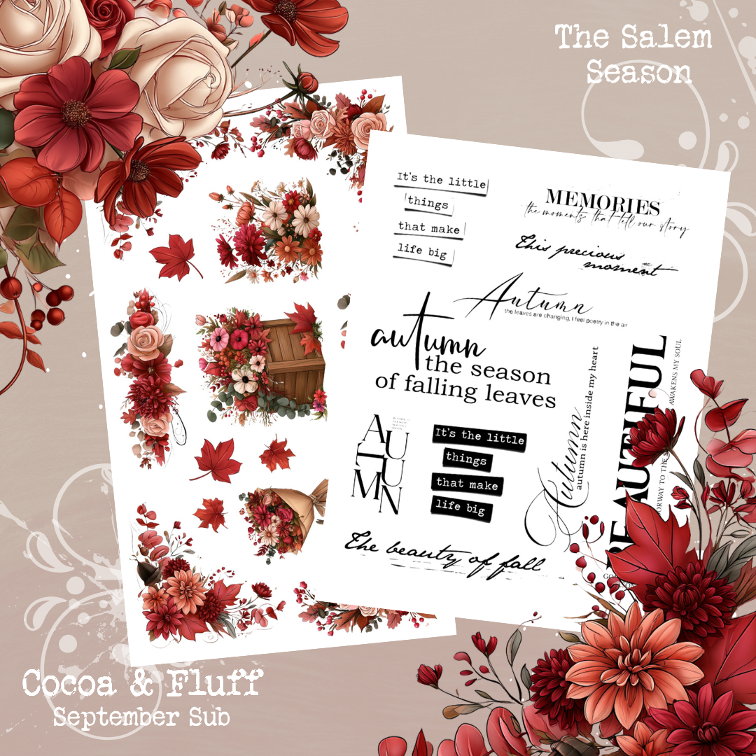 Monthly Mystery Subscription Washi Paper