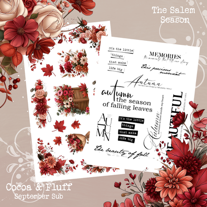 Monthly Mystery Subscription Washi Paper