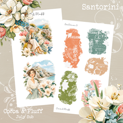 Monthly Mystery Subscription Washi Paper