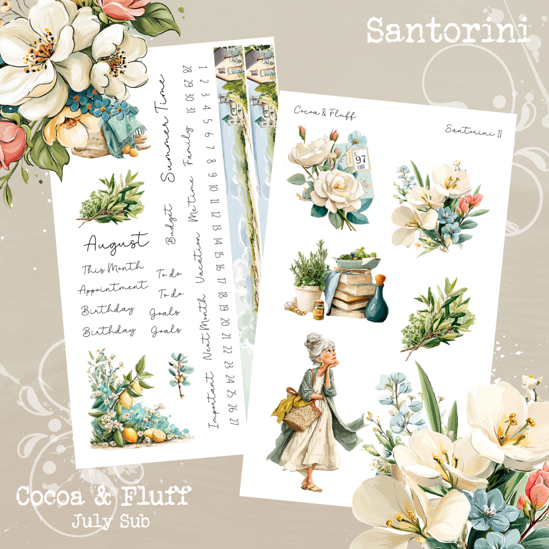 Monthly Mystery Subscription Washi Paper