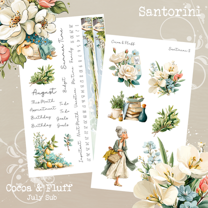 Monthly Mystery Subscription Washi Paper